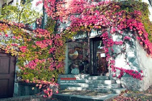 门兴格拉德巴赫获得一场胜利