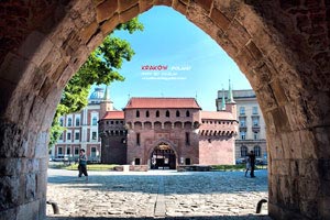 荷兰客场大胜爱尔兰队，取得胜利领先