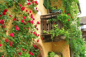 曼联球队欲夺英超冠军，士气高涨追赶领先对手