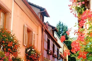 荷兰客场大胜爱尔兰队，取得胜利领先