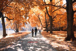 曼联球队欲夺英超冠军，士气高涨追赶领先对手