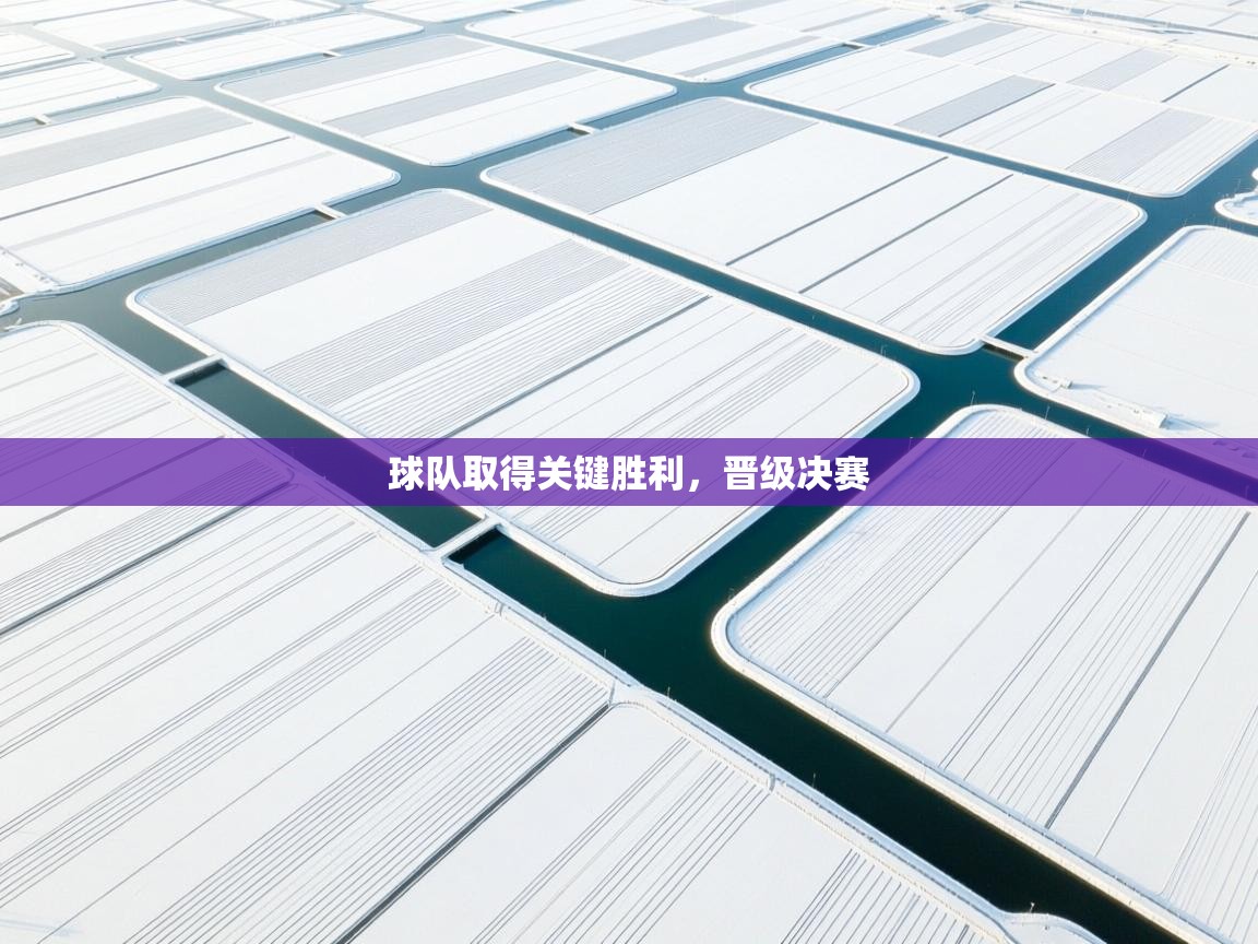 球队取得关键胜利，晋级决赛  第1张