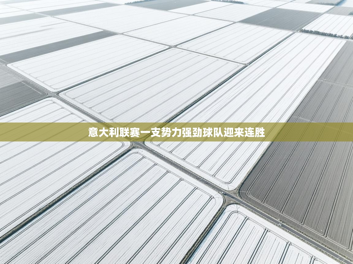 意大利联赛一支势力强劲球队迎来连胜 第2张