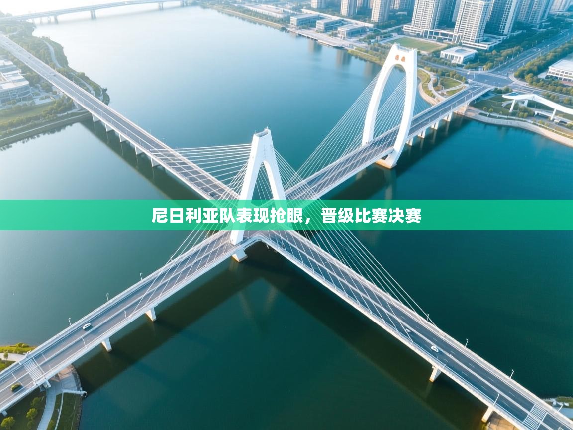 尼日利亚队表现抢眼，晋级比赛决赛  第1张