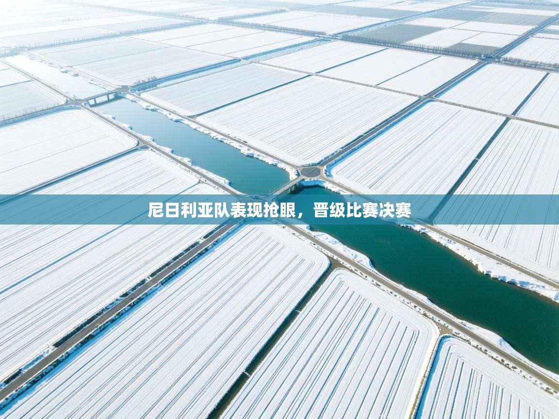 尼日利亚队表现抢眼，晋级比赛决赛  第2张