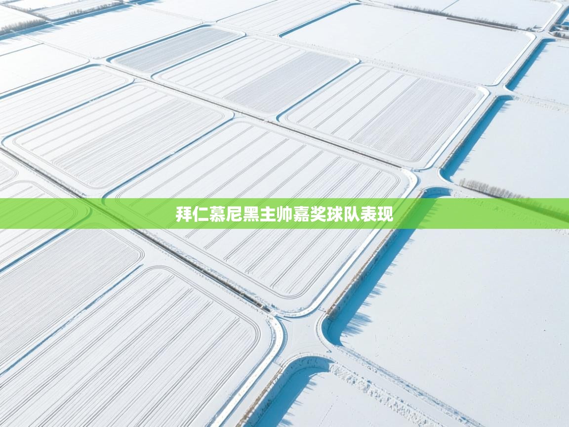 拜仁慕尼黑主帅嘉奖球队表现  第1张