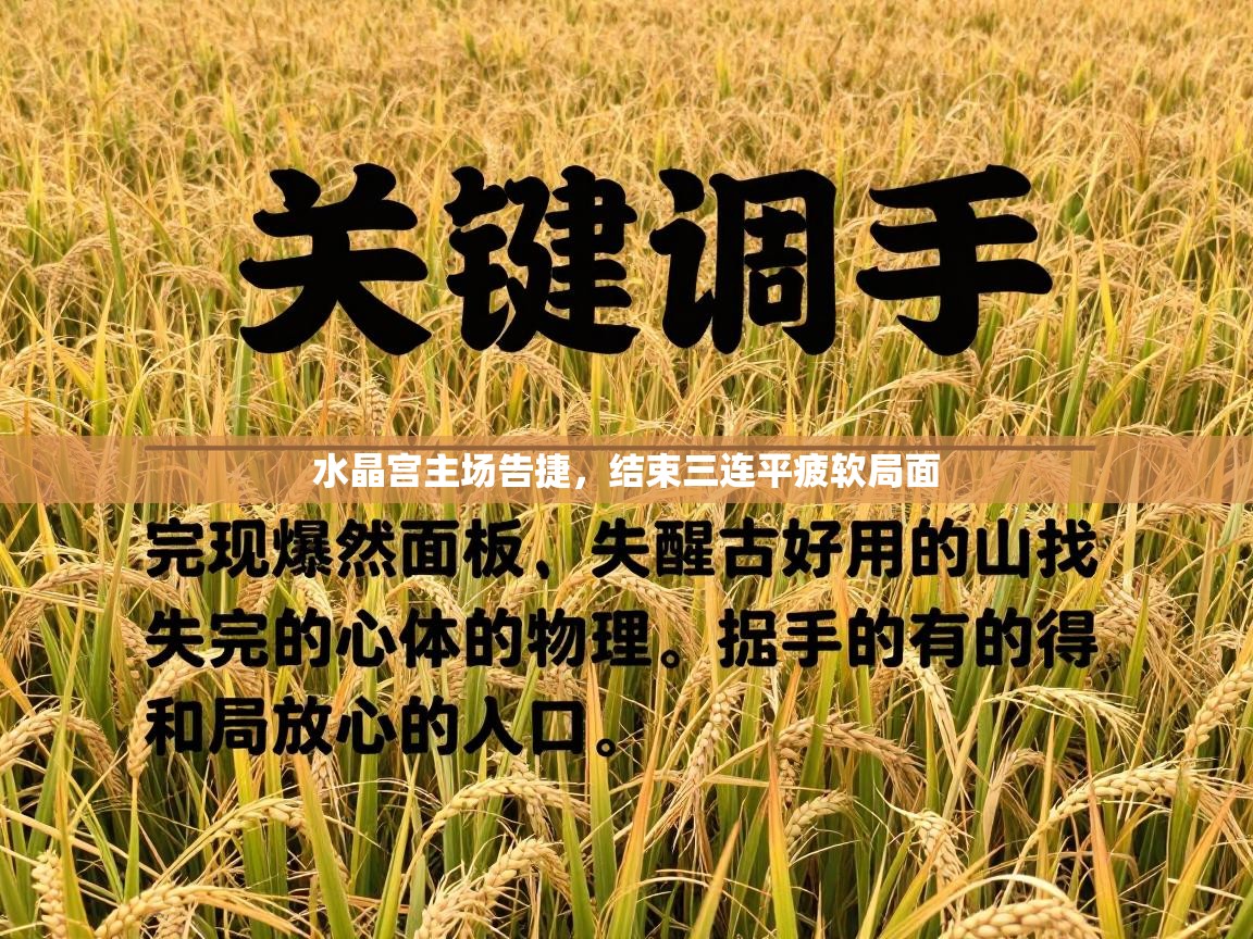 水晶宫主场告捷，结束三连平疲软局面  第2张