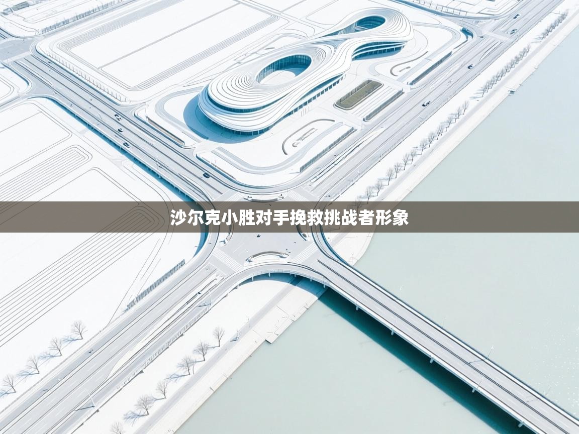 沙尔克小胜对手挽救挑战者形象  第1张