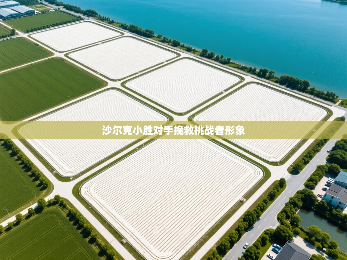 沙尔克小胜对手挽救挑战者形象  第2张