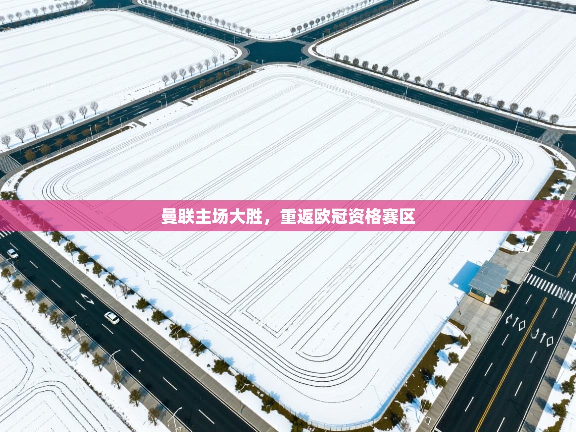 曼联主场大胜,重返欧冠资格赛区 第2张