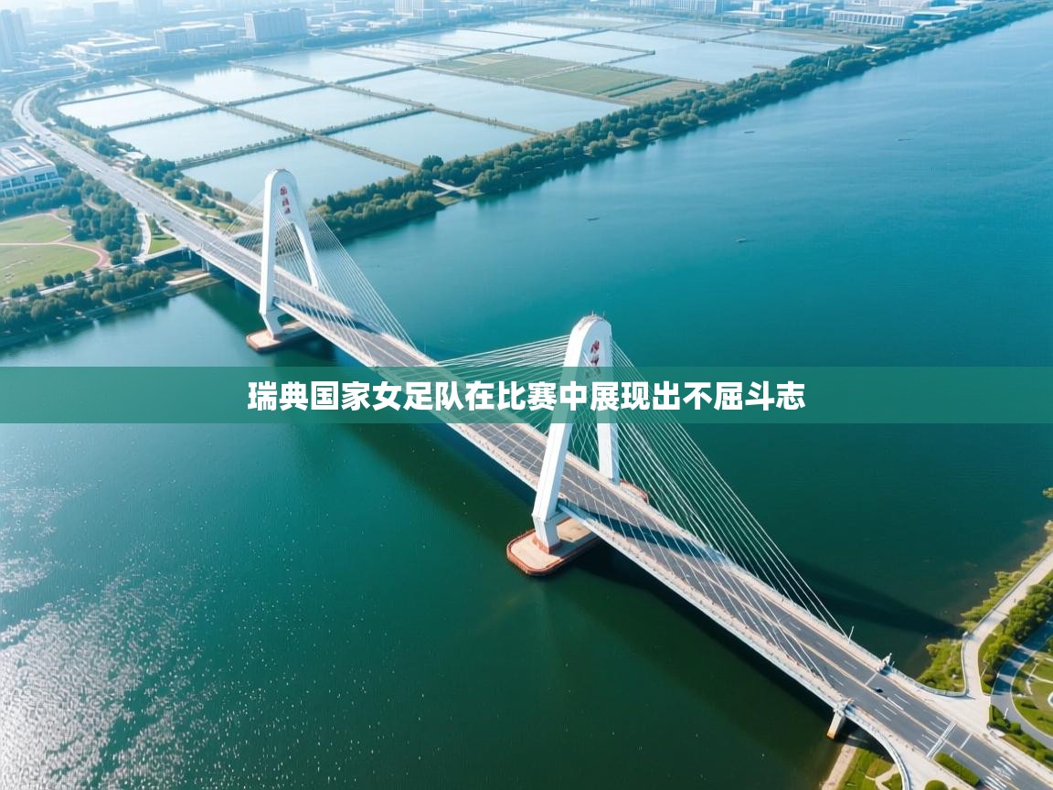 瑞典国家女足队在比赛中展现出不屈斗志  第2张