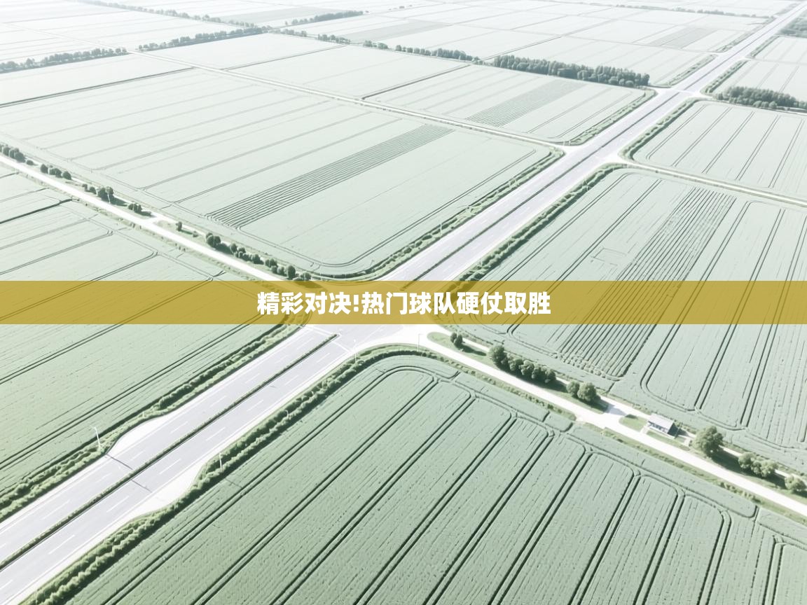 精彩对决!热门球队硬仗取胜  第1张