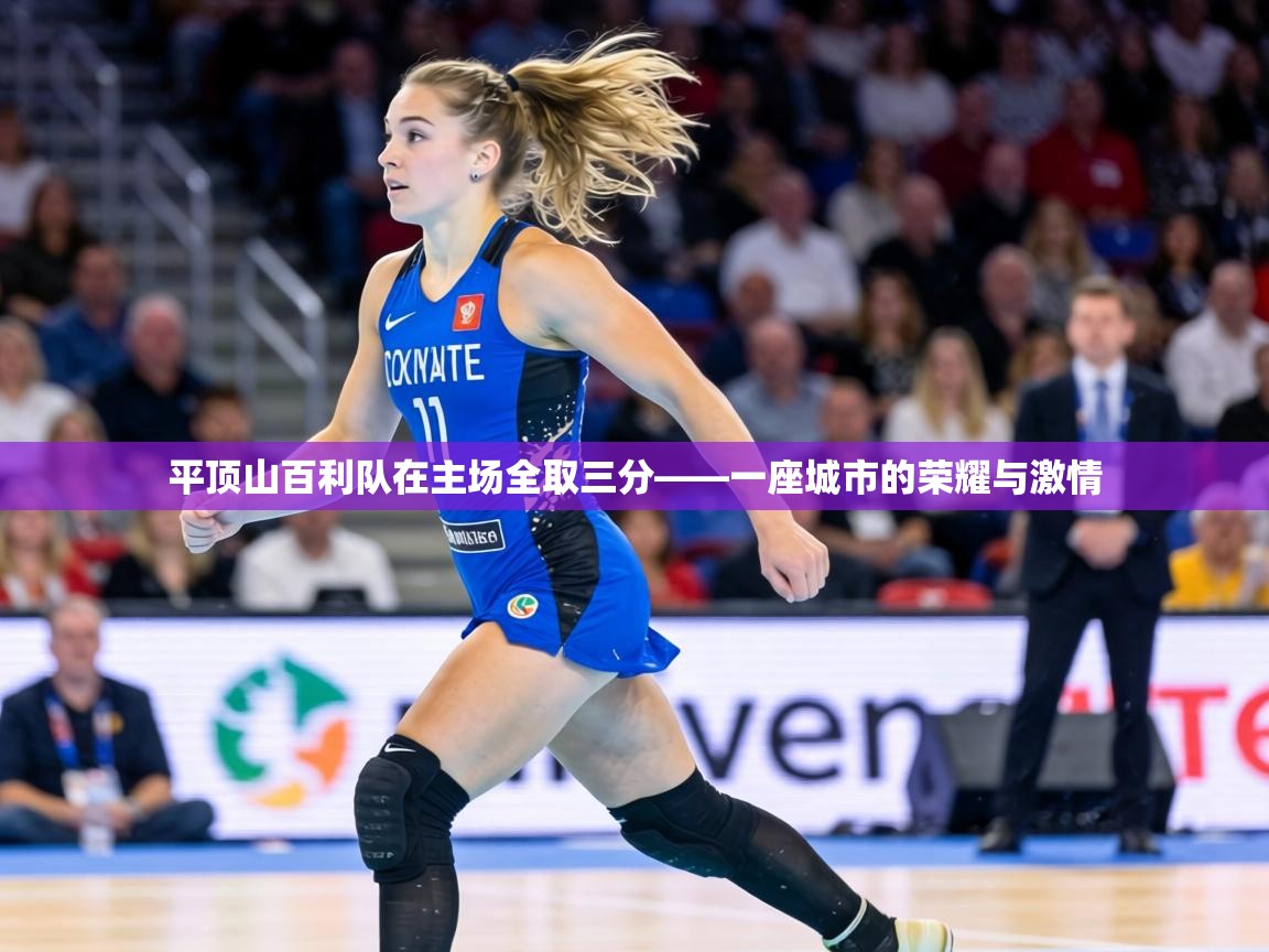 平顶山百利队在主场全取三分——一座城市的荣耀与激情 第1张