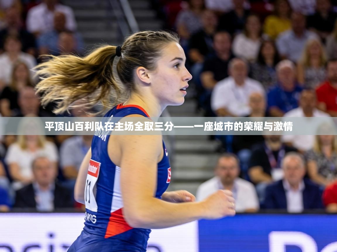 平顶山百利队在主场全取三分——一座城市的荣耀与激情 第2张